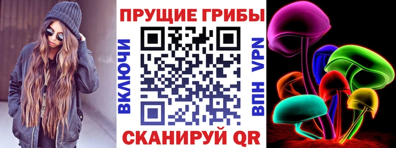 Псилоцибиновые грибы прущие грибы  как найти закладки  kraken зеркало  Черепаново 
